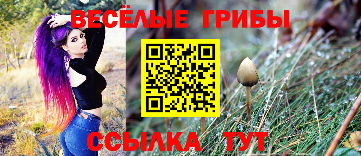 купить наркотики сайты  Галлюциногенные грибы ЛСД  Вход с VPN  Кашира 